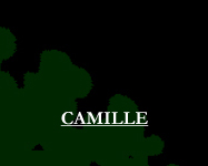 Camille